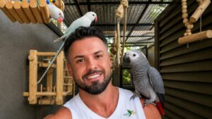 Na AVES BR, Vinicius Del Rio diz que o trabalho é feito de forma específica e alinhada ao comportamento natural de cada espécie.